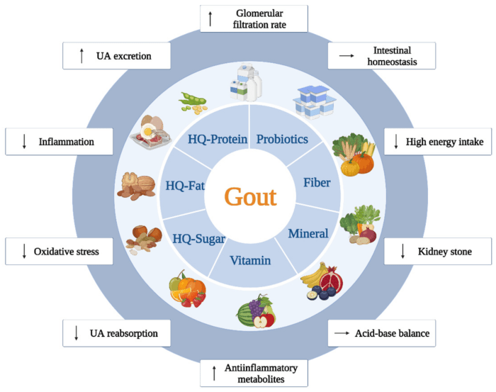 Ernährung bei gicht zentrum der gesundheit